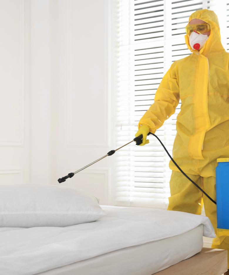 Professional Pest Control Team in West Hindmarsh
